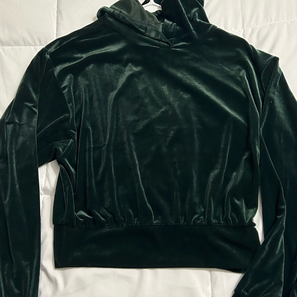 Cropped Express velvet hoodie, size M, NWT - Picture 5 of 5